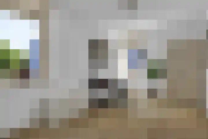 Plaggenweg 381 Bussum thumbnail 28