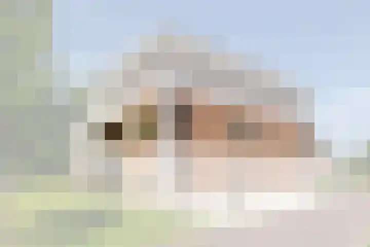 Plaggenweg 381 Bussum thumbnail 6