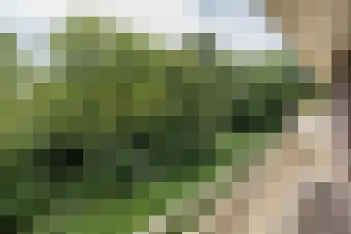 Plaggenweg 403 Bussum thumbnail 10