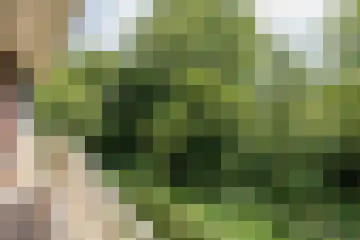 Plaggenweg 403 Bussum thumbnail 11