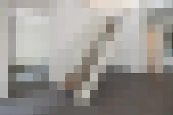 Plaggenweg 403 Bussum thumbnail 22