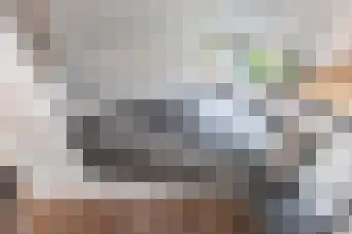 Plaggenweg 403 Bussum thumbnail 23
