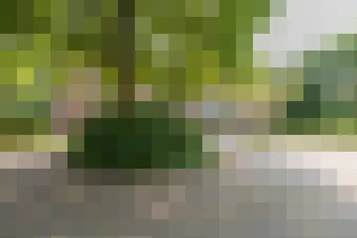 Plaggenweg 403 Bussum thumbnail 35