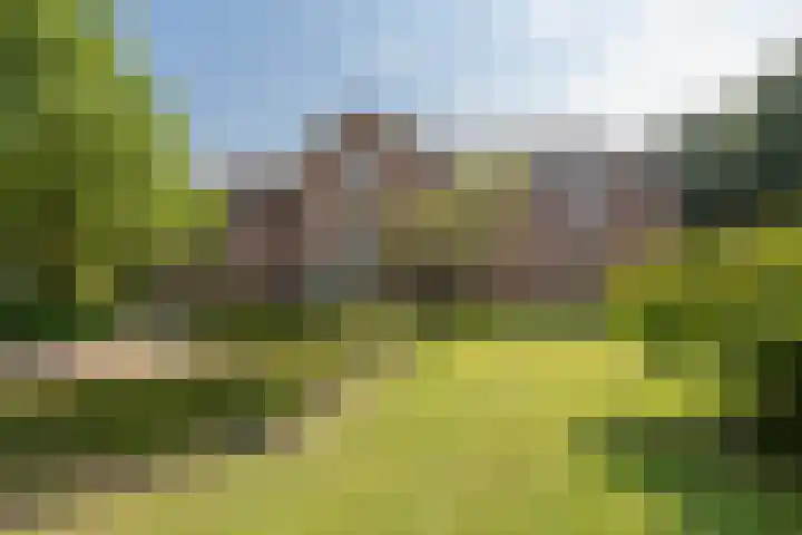 Plaggenweg 403 Bussum thumbnail 36