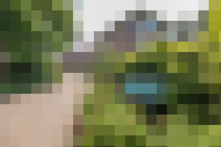 Plaggenweg 403 Bussum thumbnail 37