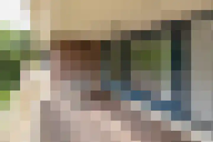 Plaggenweg 403 Bussum thumbnail 8