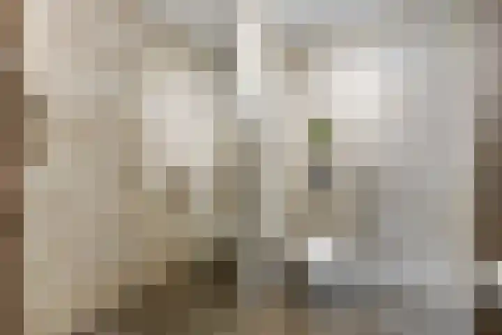 Plaggenweide 8 Hellevoetsluis thumbnail 23