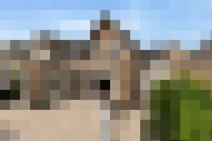 Plaggenweide 8 Hellevoetsluis thumbnail 4