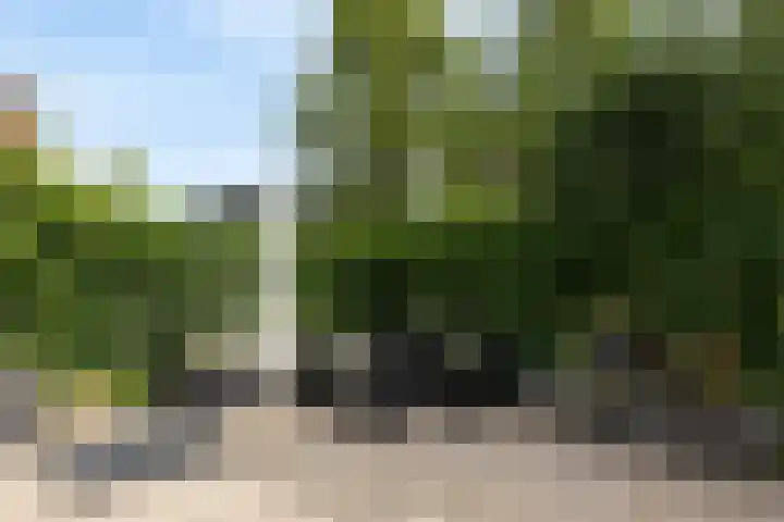 Plaggenweide 8 Hellevoetsluis thumbnail 41