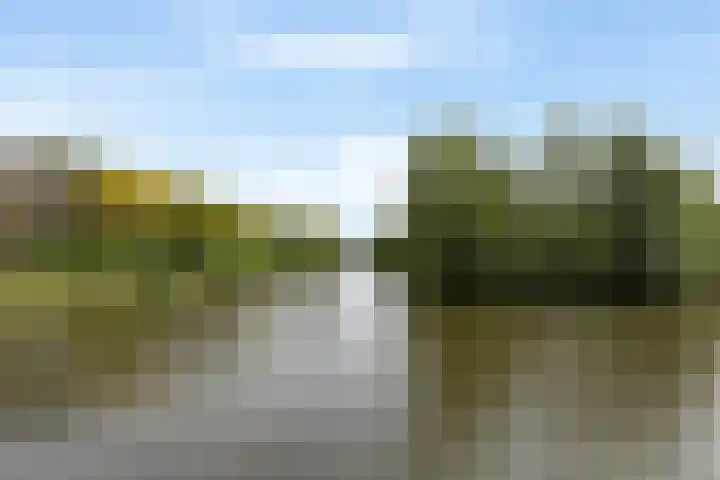 Plaggenweide 8 Hellevoetsluis thumbnail 42