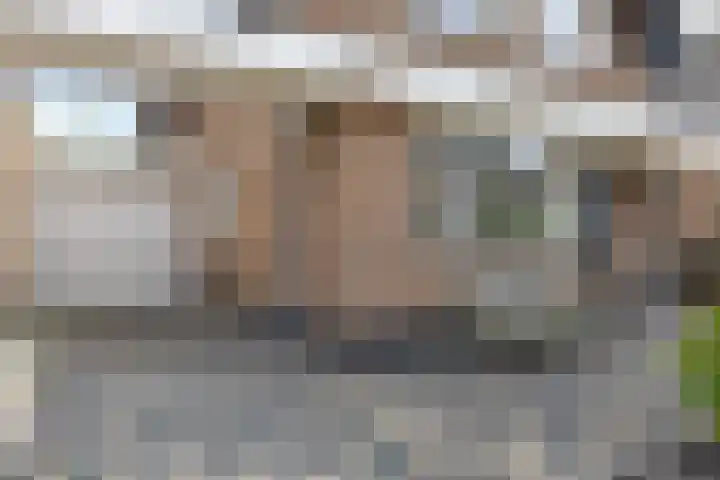 Plaggenweide 8 Hellevoetsluis thumbnail 7