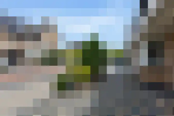Plaggenweide 8 Hellevoetsluis thumbnail 8