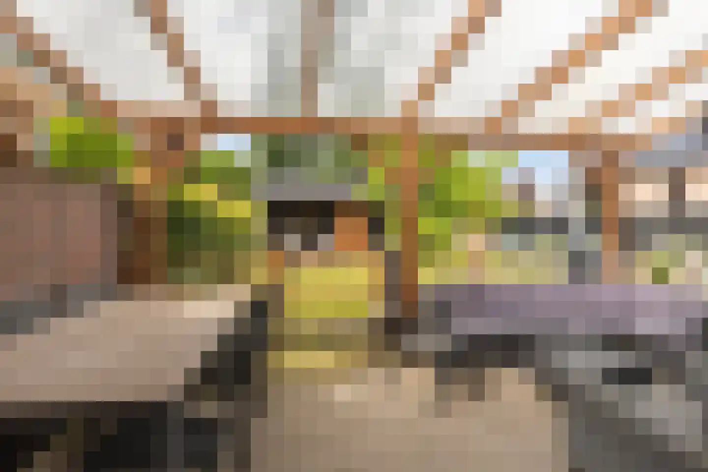 Plaggeveld 2 Stokkum thumbnail 34