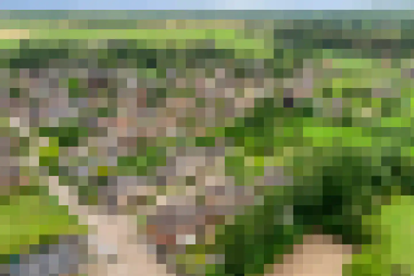 Plaggeveld 2 Stokkum thumbnail 38
