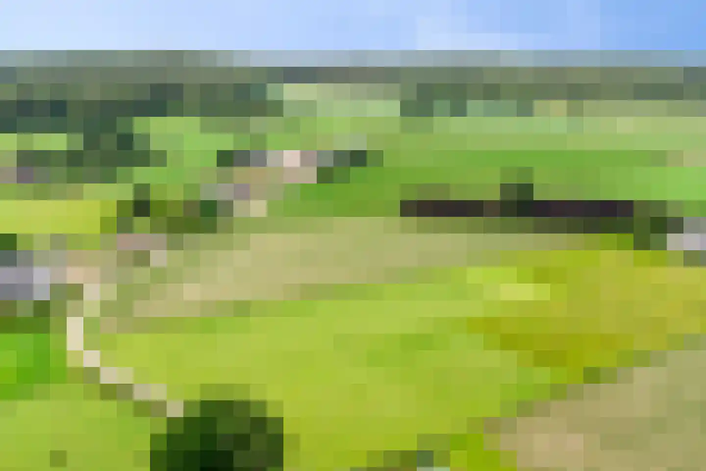 Plaggeveld 2 Stokkum thumbnail 39