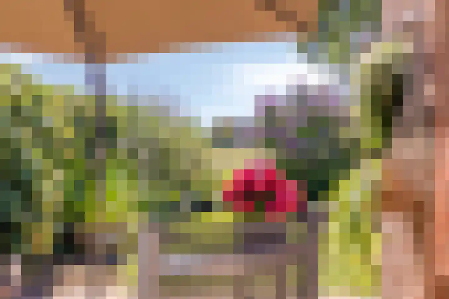 Plaggeveld 8 Zeijen thumbnail 15