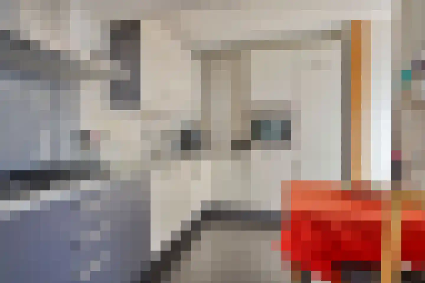 Plaggeveld 8 Zeijen thumbnail 16