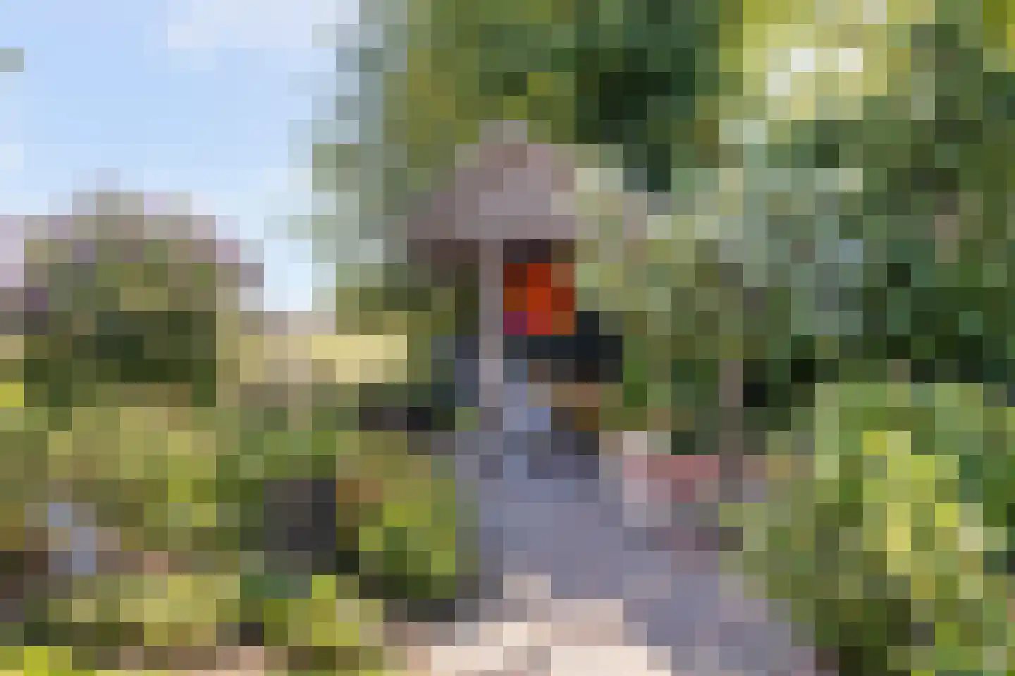 Plaggeveld 8 Zeijen thumbnail 37