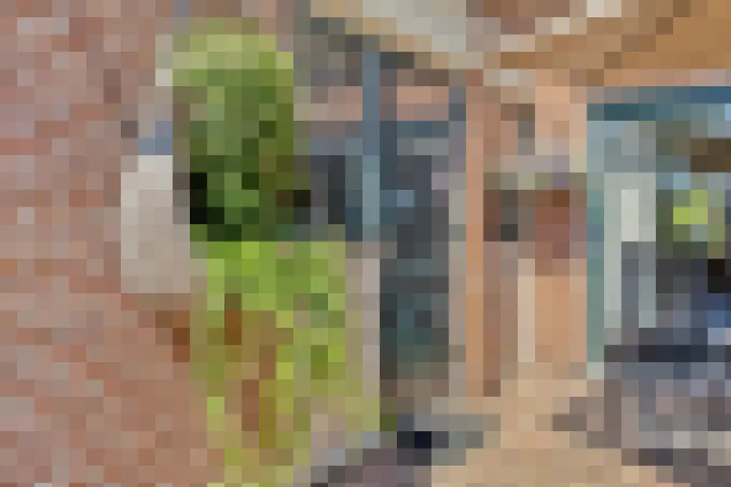 Plaggeveld 8 Zeijen thumbnail 38