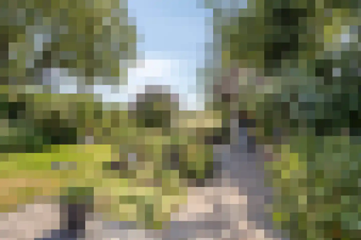 Plaggeveld 8 Zeijen thumbnail 40