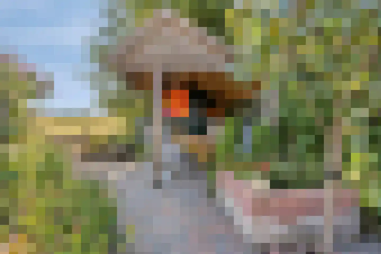 Plaggeveld 8 Zeijen thumbnail 41