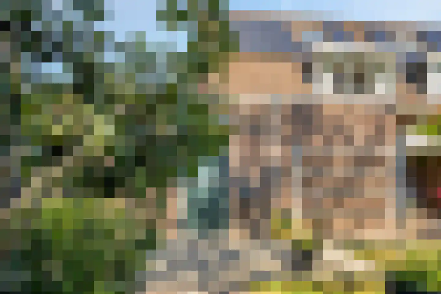 Plaggeveld 8 Zeijen thumbnail 43