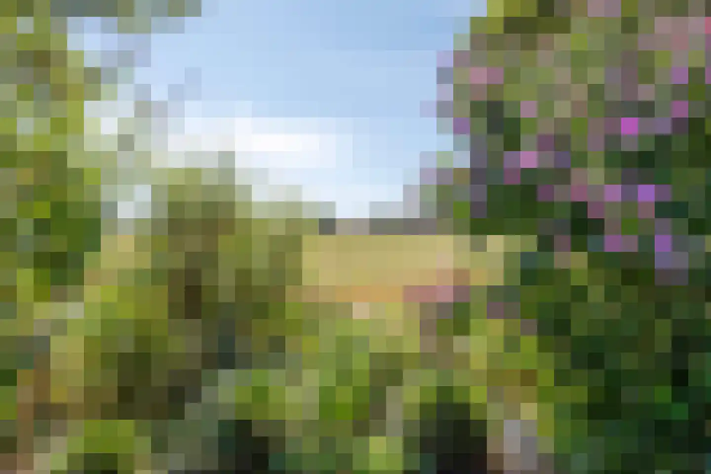 Plaggeveld 8 Zeijen thumbnail 44