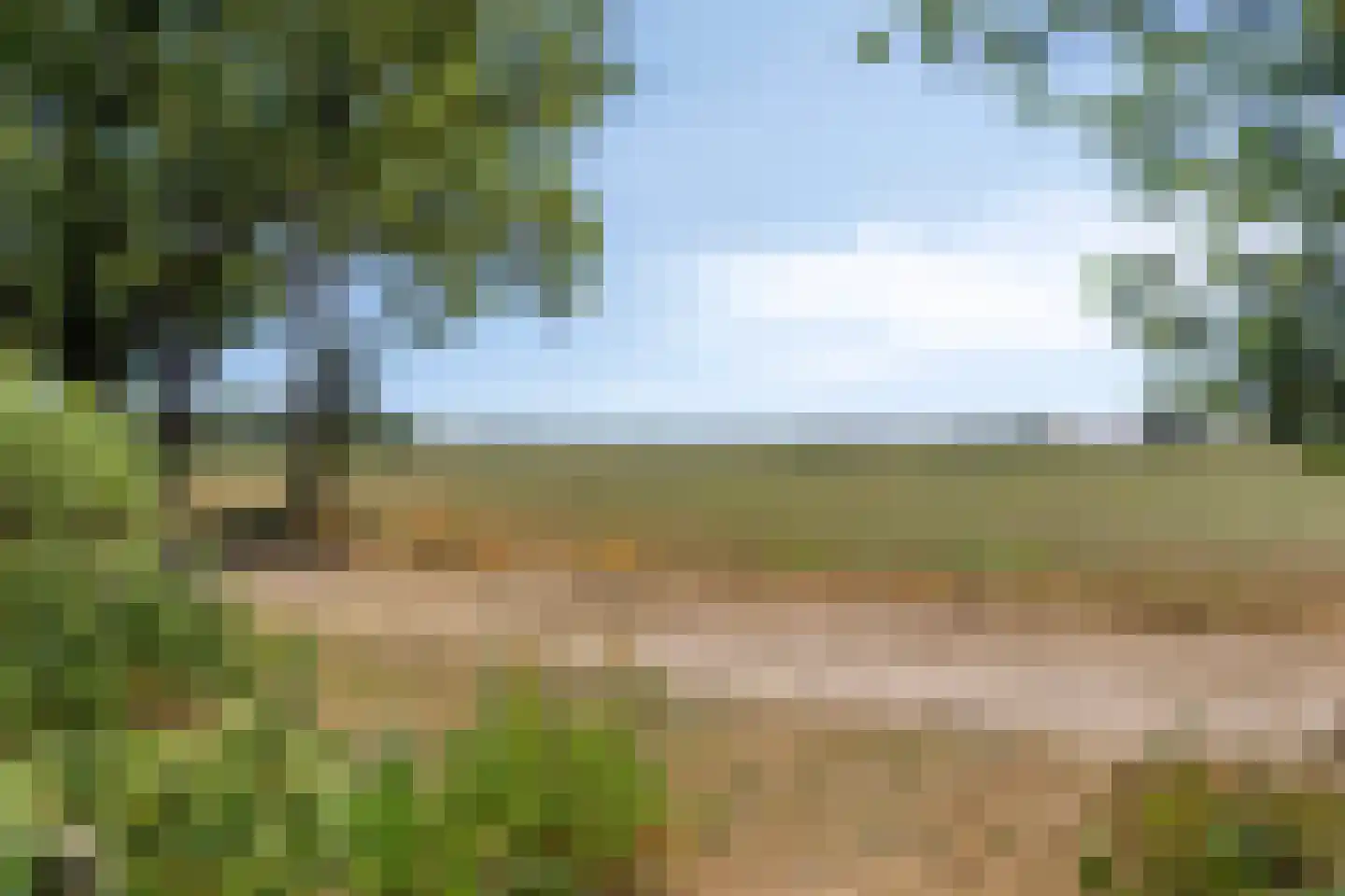 Plaggeveld 8 Zeijen thumbnail 48