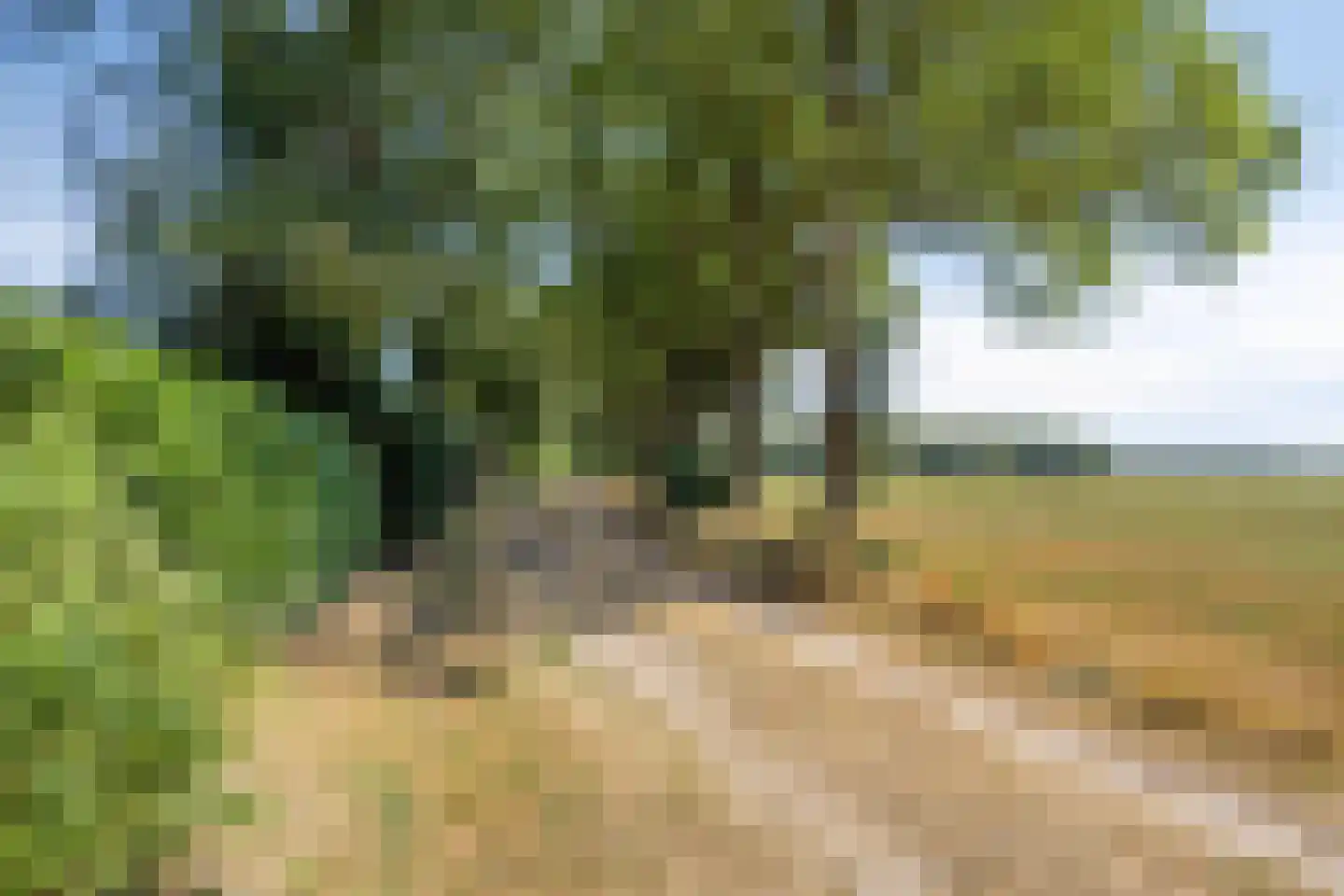 Plaggeveld 8 Zeijen thumbnail 49