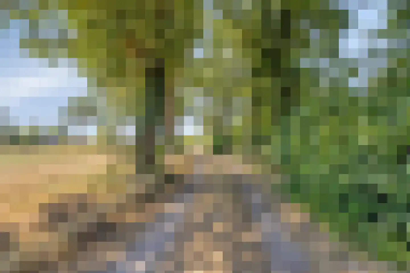 Plaggeveld 8 Zeijen thumbnail 50