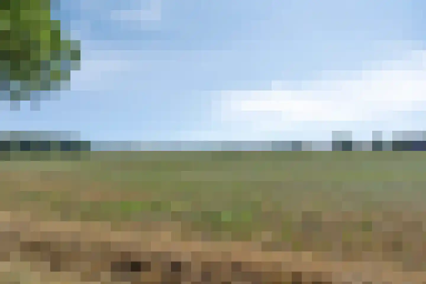 Plaggeveld 8 Zeijen thumbnail 51