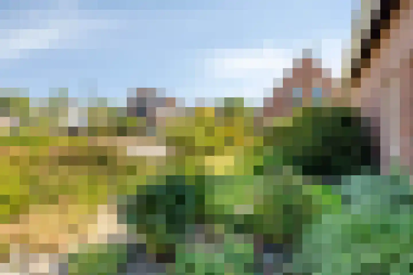 Plaggeveld 8 Zeijen thumbnail 53