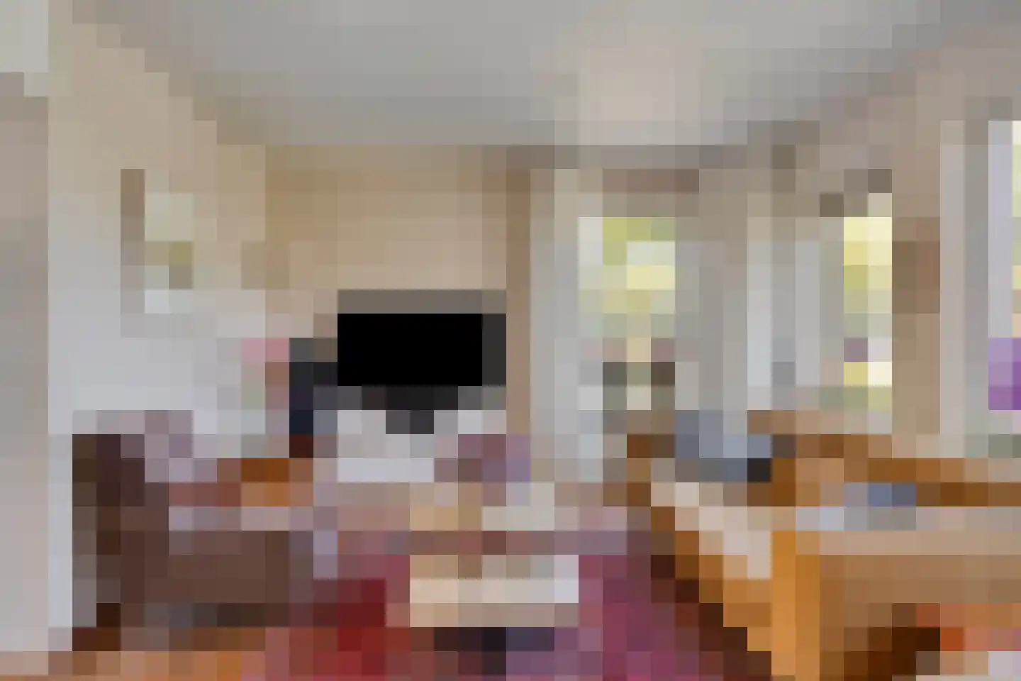 Plaggeveld 8 Zeijen thumbnail 7