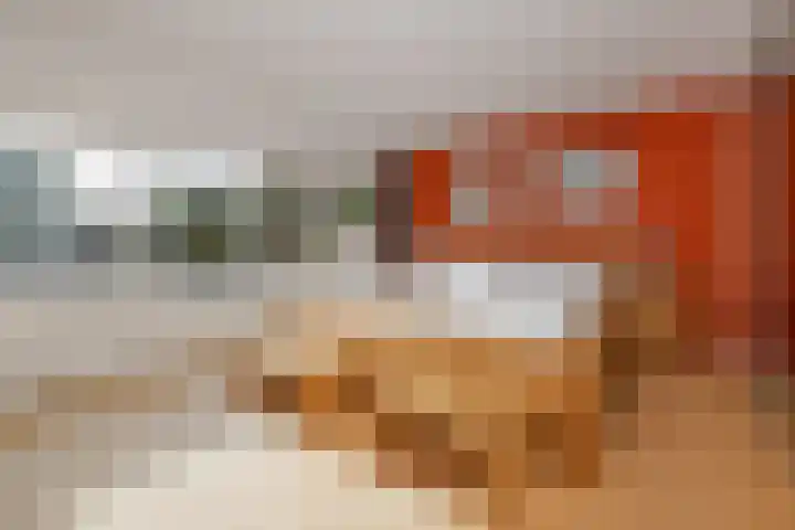 Plaggewagen 2 Blaricum thumbnail 10