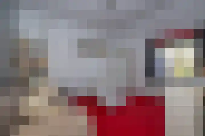 Plaggewagen 2 Blaricum thumbnail 13