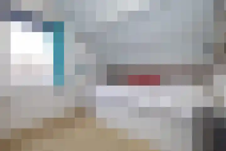 Plaggewagen 2 Blaricum thumbnail 17