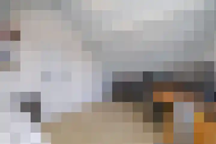 Plaggewagen 2 Blaricum thumbnail 18