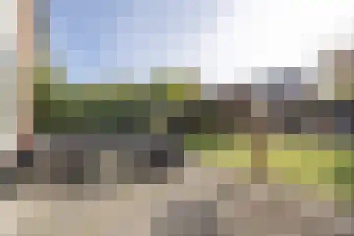 Plaggewagen 2 Blaricum thumbnail 20
