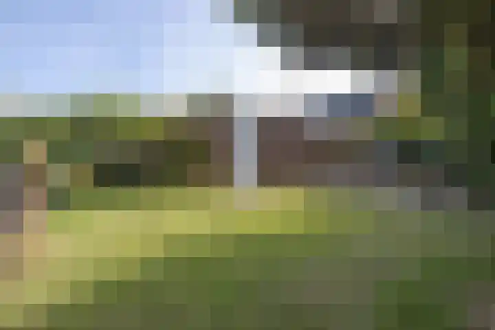 Plaggewagen 2 Blaricum thumbnail 21