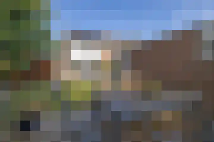 Plaggewagen 2 Blaricum thumbnail 23