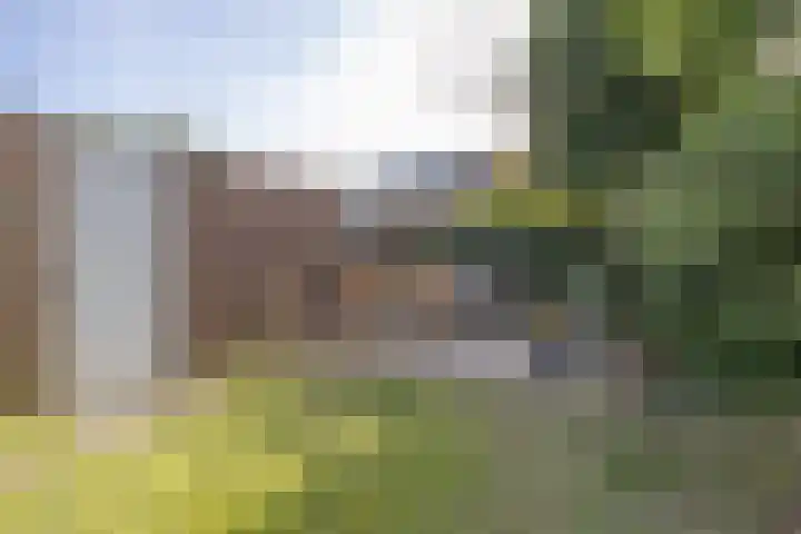 Plaggewagen 2 Blaricum thumbnail 25