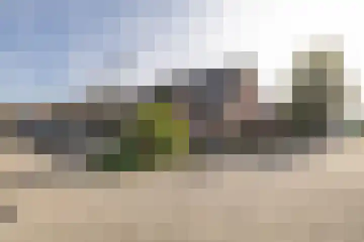 Plaggewagen 2 Blaricum thumbnail 26