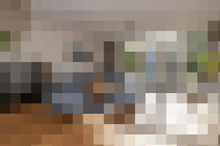 Plaggewagen 2 Blaricum thumbnail 4