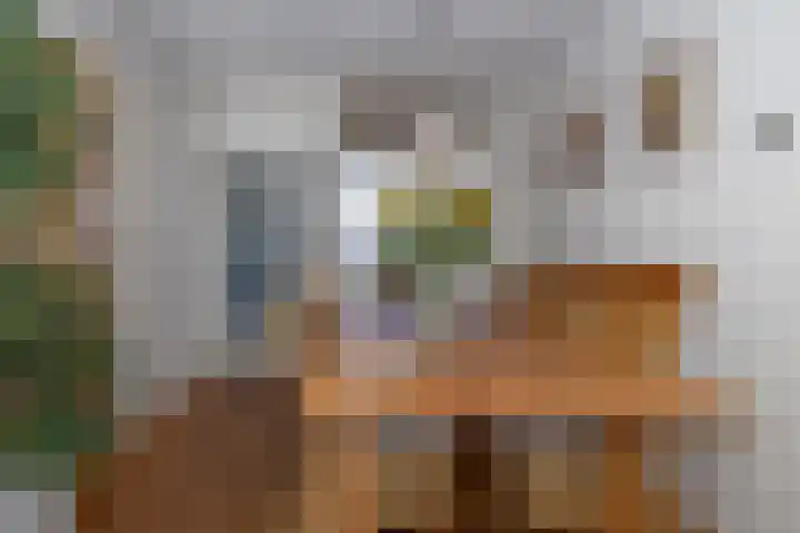 Plaggewagen 2 Blaricum thumbnail 6