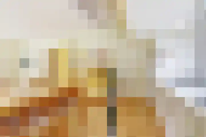 Plaggeweg 120 Vierhouten thumbnail 10