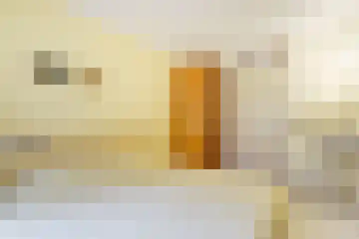 Plaggeweg 120 Vierhouten thumbnail 14