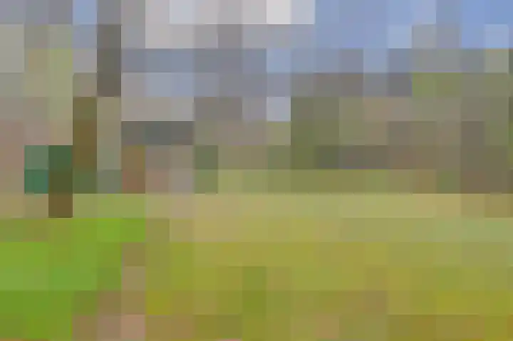 Plaggeweg 120 Vierhouten thumbnail 22