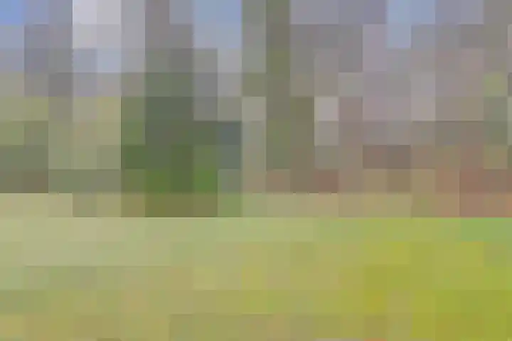 Plaggeweg 120 Vierhouten thumbnail 23