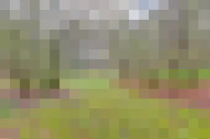 Plaggeweg 120 Vierhouten thumbnail 24