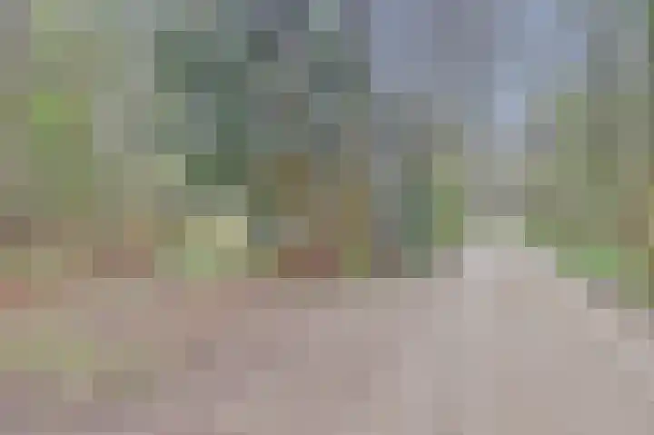 Plaggeweg 120 Vierhouten thumbnail 25